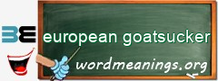 WordMeaning blackboard for european goatsucker